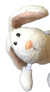Hi